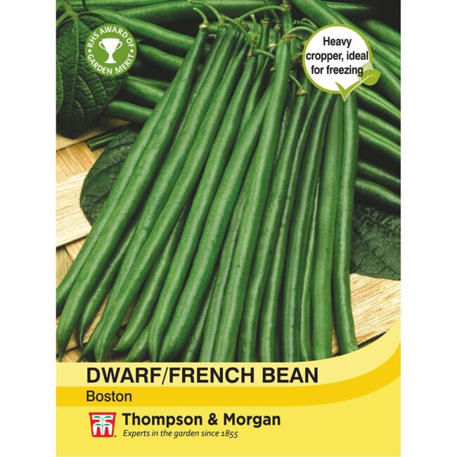 Dwarf Bean Boston Seeds