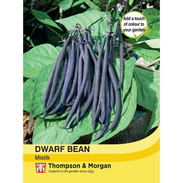 Dwarf Bean Mistik Seeds
