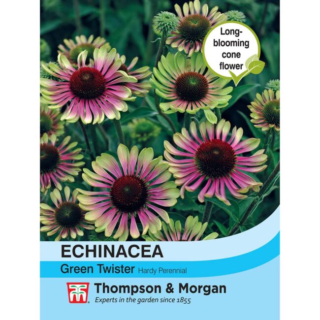 Echinacea Green Twister Flower Seeds