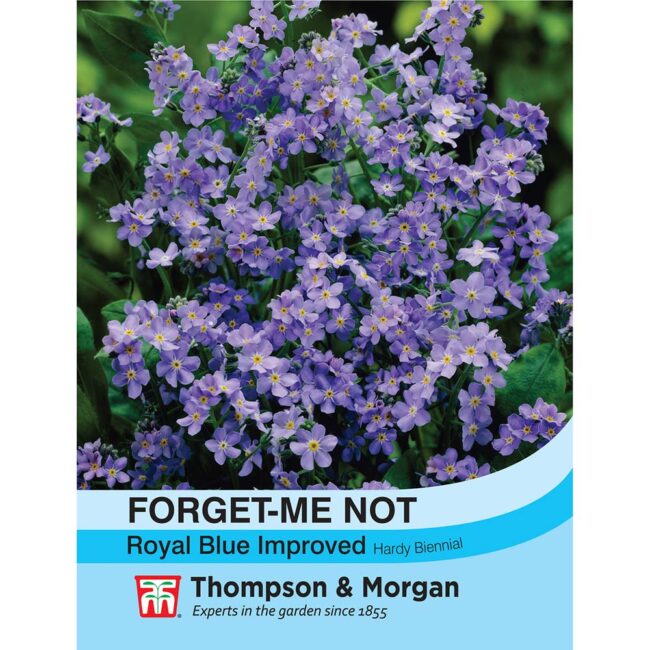 Forget-me-not Royal Blue Improved Flower Seeds
