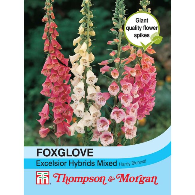 Foxglove Excelsior Hybrids Mixed Flower Seeds
