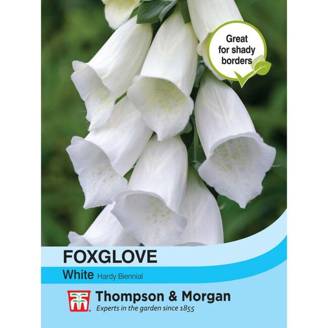 Foxglove White Flower Seeds