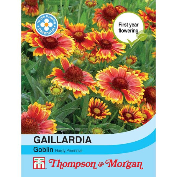 Gaillardia Goblin Flower Seeds