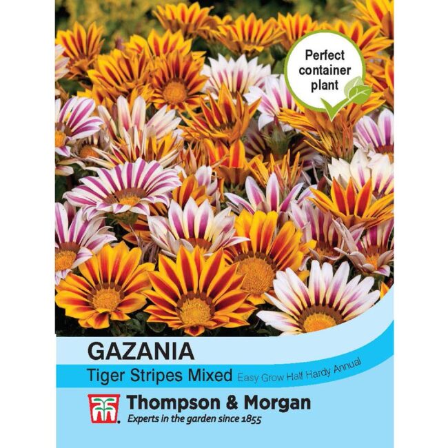 Gazania Tiger Stripes Mixed Flower Seeds