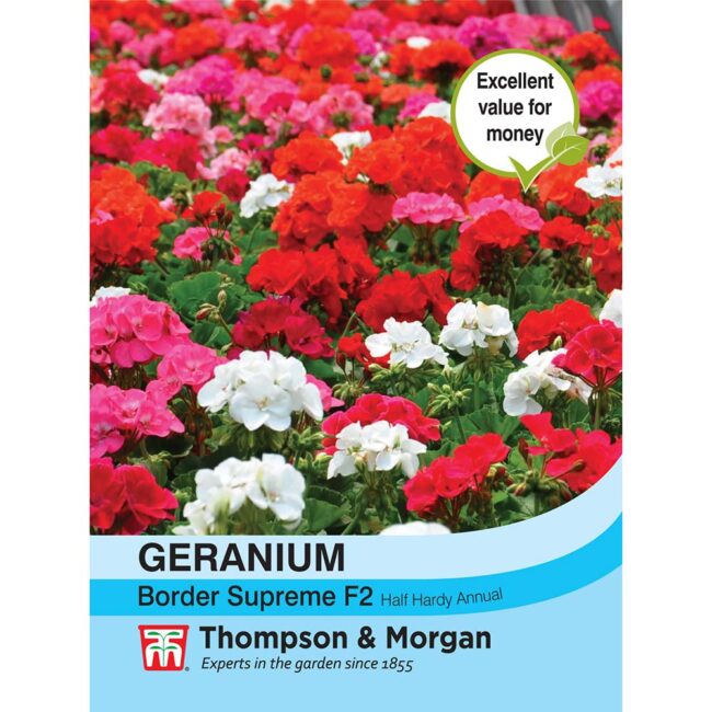 Geranium Border Supreme F2 Hybrid Flower Seeds