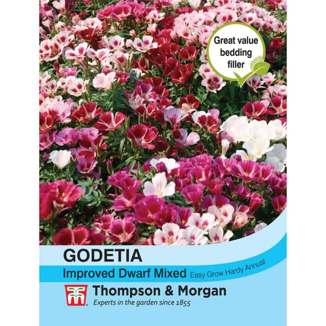Godetia Improved Dwarf Mixed Flower Seeds