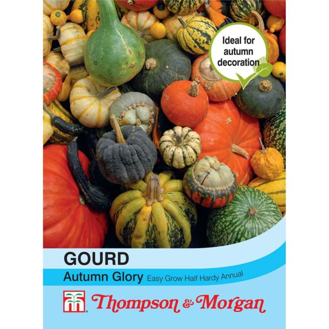 Gourd Autumn Glory Flower Seeds