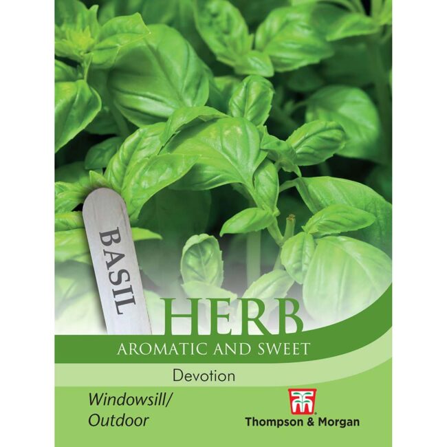 Basil Devotion Herb Seeds