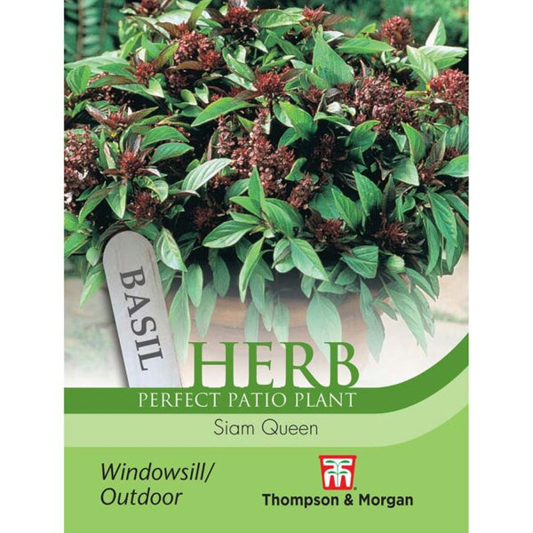 Basil Siam Queen Herb Seeds