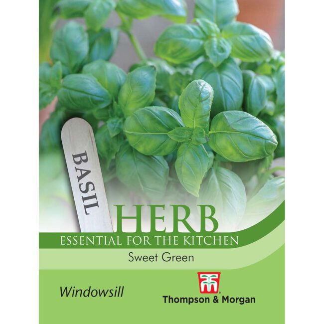 Basil Sweet Green Herb Seeds