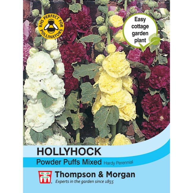 Hollyhock Powder Puffs Mixed Flower Seeds