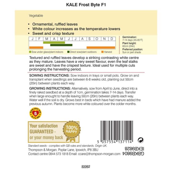 Kale Frost Byte F1 Seeds