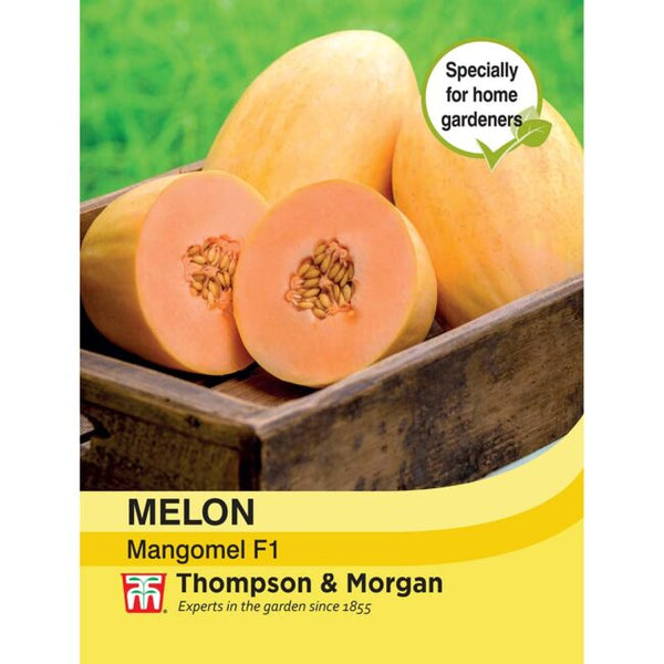 Melon Mangomel F1 Seeds