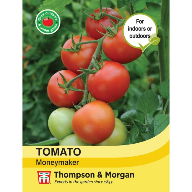 Tomato Moneymaker Seeds