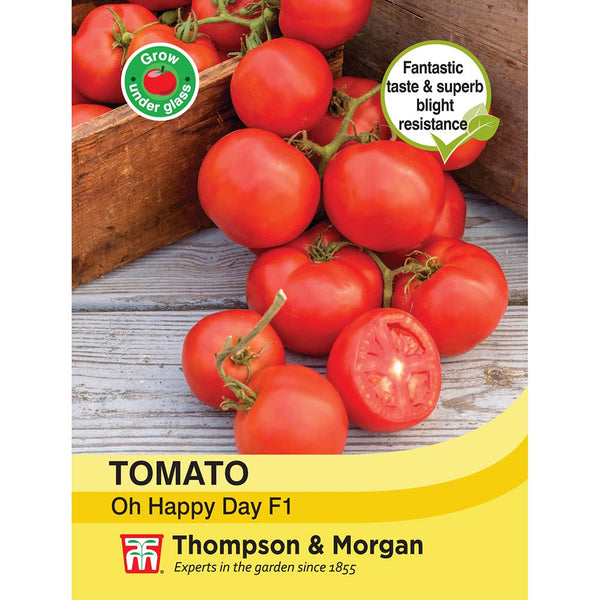 Tomato Oh Happy Day F1 Hybrid Seeds