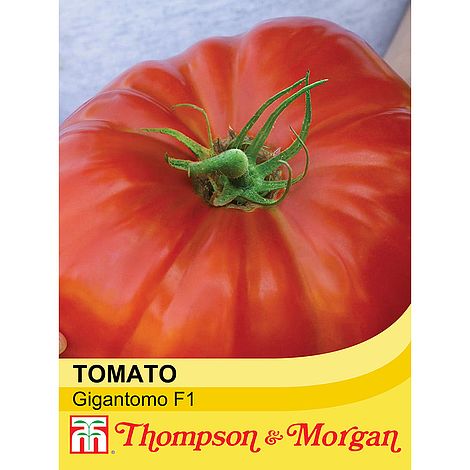 Tomato Gigantomo F1 Hybrid Seeds