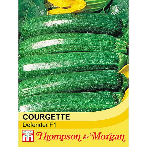 Courgette Defender F1 Hybrid Seeds