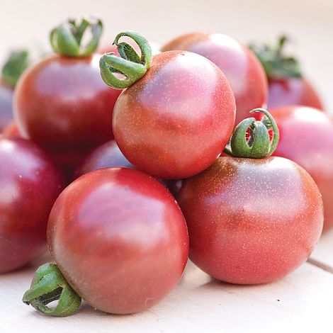 Tomato Rosella Seeds