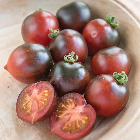 Tomato Indigo Cherry Drops Seeds