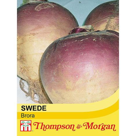 Swede Brora Seeds