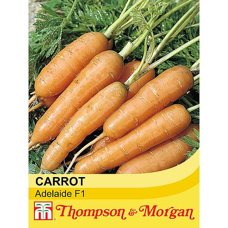 Carrot Adelaide F1 Seeds