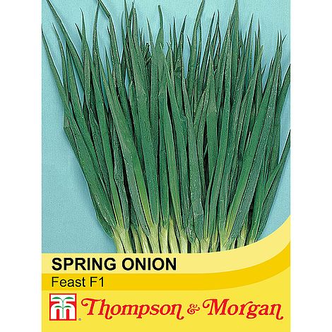 Spring Onion Feast Seeds