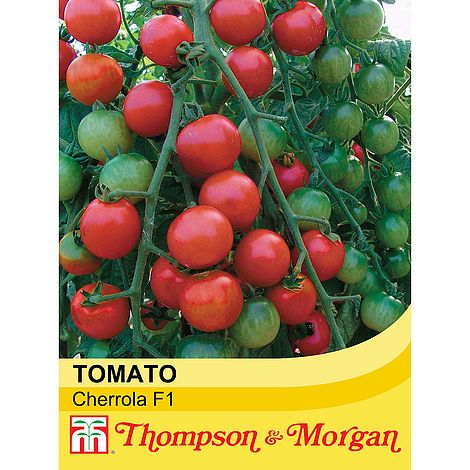 Tomato Cherrola F1 Seeds