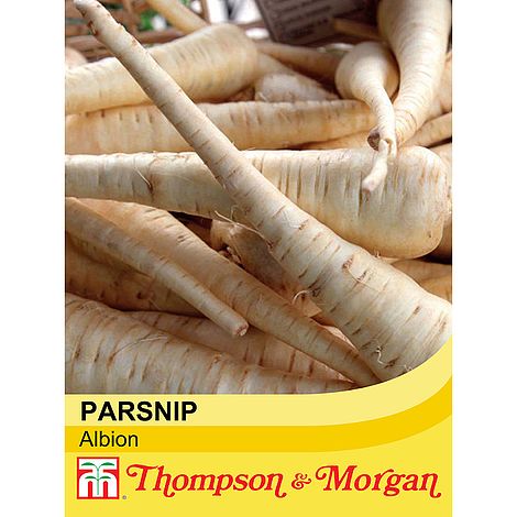 Parsnip Albion Seeds