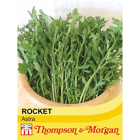 Rocket Astra Seeds