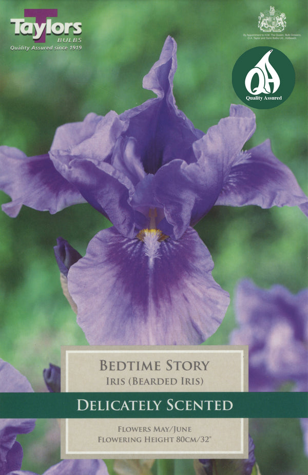 Iris Bedtime Story (Single Pack)