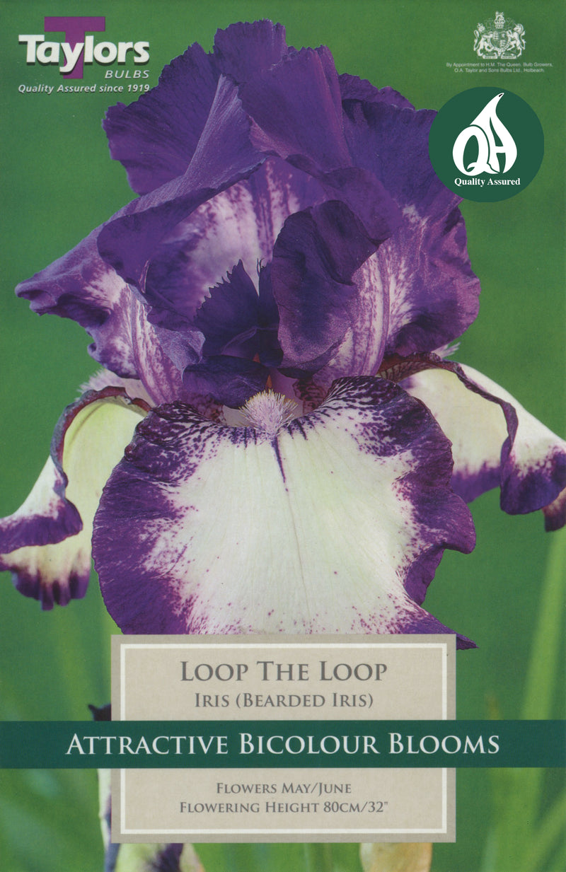 Iris Loop the Loop (Single Pack)