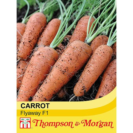 Carrot Flyaway F1 Seeds | Cornwall Garden Shop | UK