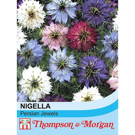 Nigella Persian Jewels Mixed Flower Seeds
