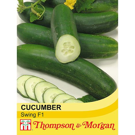 Cucumber Swing F1 Hybrid Seeds