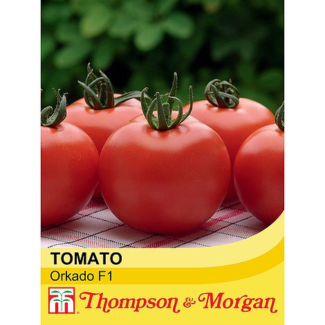 Tomato Orkado F1 Hybrid Seeds
