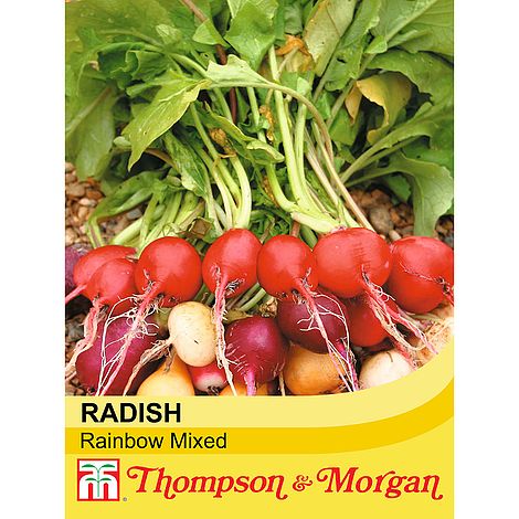 Radish Rainbow Mixed Seeds