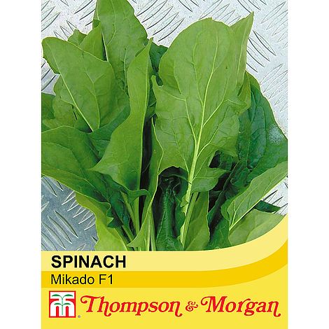 Spinach Mikado F1 Seeds