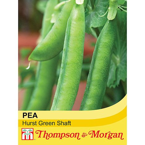 Pea Hurst Green Shaft Seeds