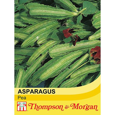 Asparagus Pea Vegetable Seeds