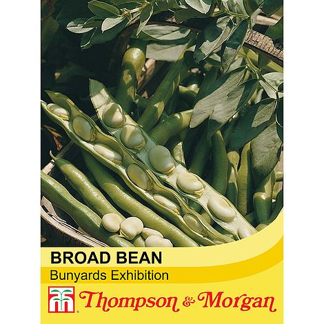 Broad Bean Bunyards Exhibition Seeds