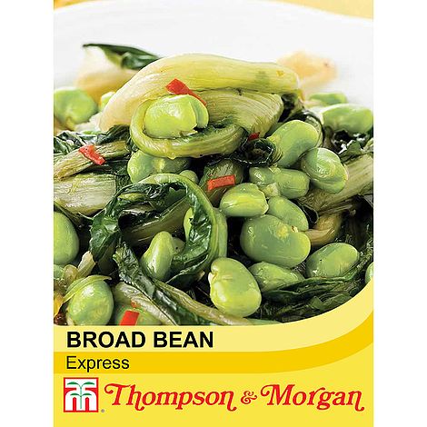 Broad Bean Express Seeds
