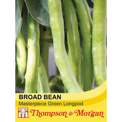 Broad Bean Masterpiece Green Longpod Seeds