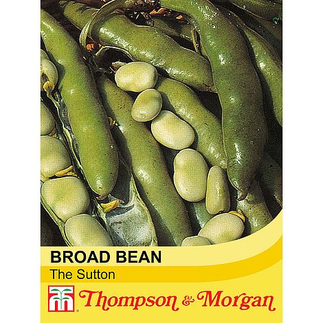 Broad Bean The Sutton Vegetable Seeds