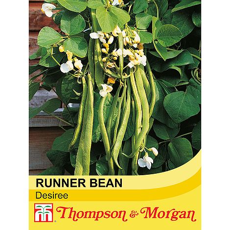 Runner Bean Desiree Seeds