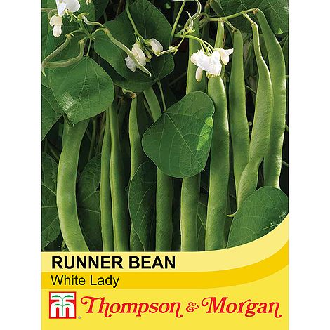 Runner Bean White Lady Seeds
