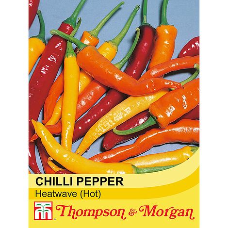 Pepper Chilli Heatwave Improved Mix F1 Hybrid Seeds
