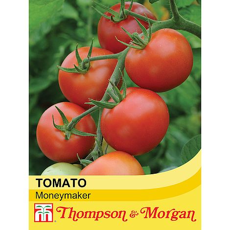 Tomato Moneymaker Seeds