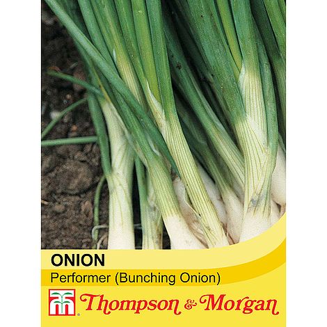 Spring Onion Performer Seeds