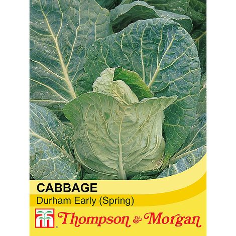 Cabbage Durham Early Seeds
