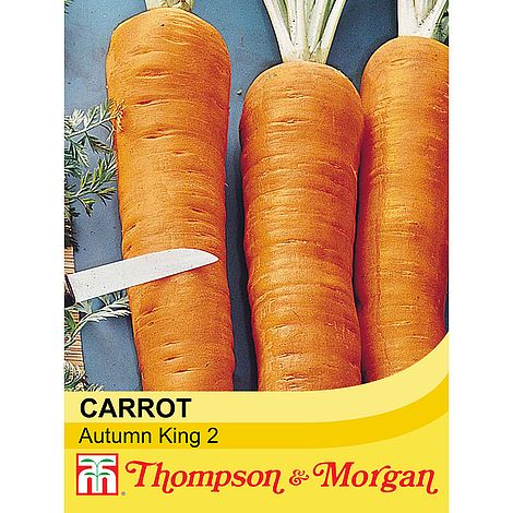 Carrot Autumn King 2 Seeds